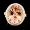 14K Gold 13.63ct Morganite & 1.55ctw Diamond Ring