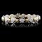 18K Two Tone 3.81ctw Diamond Bracelet