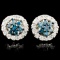 14K Gold 0.76ctw Fancy Color Diamond Earrings