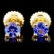 14K Gold 0.70ctw Tanzanite Earrings