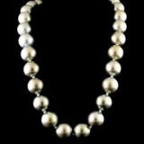 14K Gold 13-16MM Tahitian South Sea Pearl Necklace