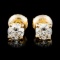 14K Gold 0.72ctw Diamond Earrings