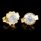 14K Gold 0.36ctw Diamond Earrings