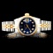 Rolex DateJust 18K & SS Ladies Wristwatch