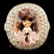 14K Gold 7.66ct Morganite & 1.11ctw Diamond Ring