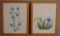 (2) Framed Floral Prints 10-1/2