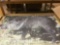 Approximately (2000) Martin Archery Boar Targets 24