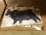Approximately (1000) Martin Archery Big Horn Sheep Paper Targets 37