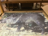 Approximately (2000) Martin Archery Boar Targets 24