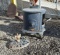 Charter Oak 621 cast iron wood stove