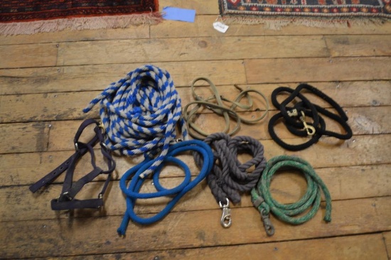 Assortment of Horse Leads.