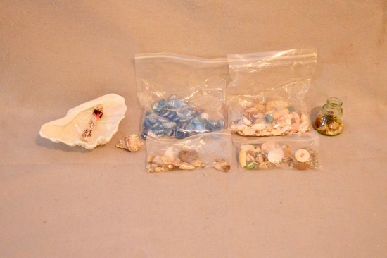 Assorted of Seashells & Rocks
