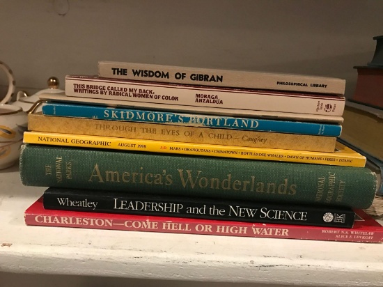 Lot of Assorted Books