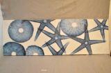 X-Ray Collage Of Sea Urchins & Starfish Textured Print On Canvas