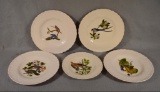 5 Meakin, England Bird Plate,s Larger are 11