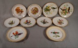 10 Assorted Bird Plates - Incl: Portugal, Germany & Japan