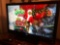 Vizio Eco1080P 42
