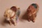 (1) Pair of Hand Painted Horse Salt and Pepper Shakers