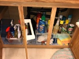 Contents Underneath Kitchen Sink