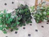 (5) fake plants