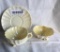 Belleek Neptune Teacup & Saucer, and Open Sugar