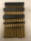 (300) Winchester Mag Shell Casings