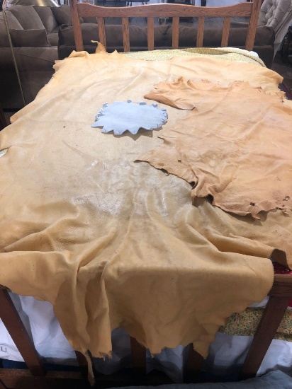 Bull Moose Hide