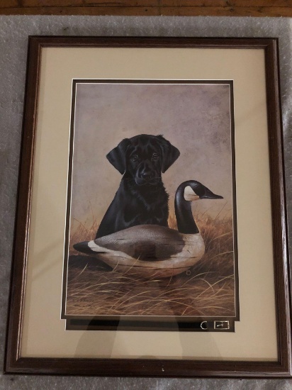 L.R. Kaatz, Black Lab Bird Dog with Duck. Inset Dog Collar
