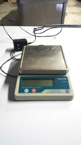 Taylor food scale