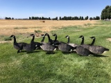 (12)Johnson Folding Goose Decoys