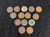 (14) 1906 Indian Heads Pennies