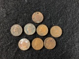 (8) 1899 Indian Head Pennies