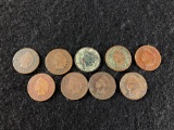 (8) Indian Head Pennies