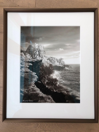 Beverly Warns Framed Infrared Photograph Of Hawaii 13" x 10-1/2" Signed Lower Right