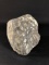 Chrysanthemum Stone