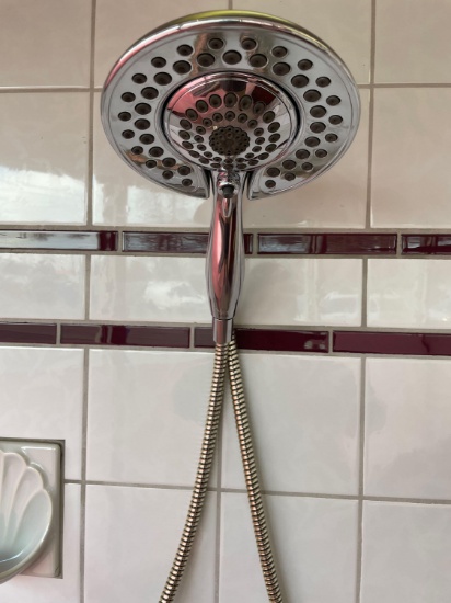Delta Multi Function Shower Head Fixture