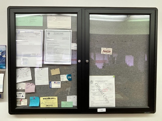 Wall Mounted Locking Pin Board Cabinet