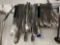 Large Assortment Of Metal Tongs
