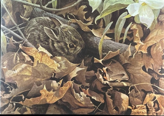 Bateman, Robert, "Among the Leaves- Cottontail", LEC, 42/350