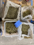 Lot of Construction Wood Screws