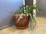 Cactus House/ Office Plant w/ Planter