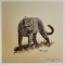 Simon Combes, 