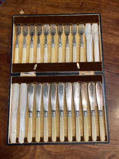 Boxed , fish set of 12 each forks and knives, silver plate, synthetic handles.