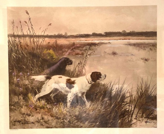 Reynard, "In Cover," Framed Print