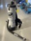 Pro Team Model LV-100 Heppa Back Pack Vacuum