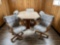 Dining Table w/ (5) Chairs