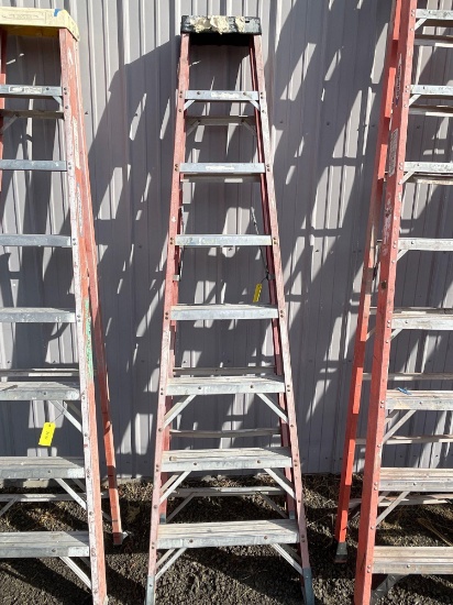 Werner 8' Fiberglass Stepladder