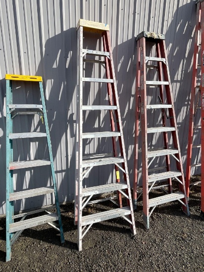 Werner Electro-Master 6' Fiberglass Stepladder