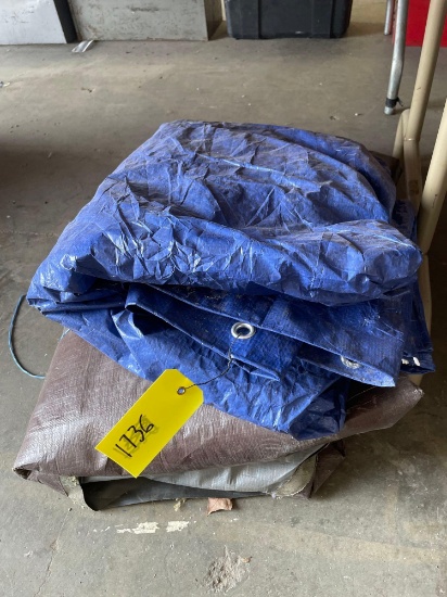 Assorted Tarp's