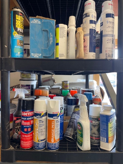 Shelf Of Assorted Chemical & Products